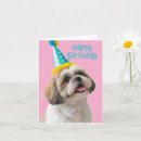 Recherche de tzu vœux cartes Canine