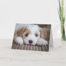 Recherche de puppy vœux cartes Animal mignon