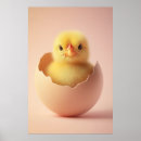Recherche de poussette de bébé posters Poulet