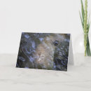 Recherche de pour lamie vœux cartes Faune