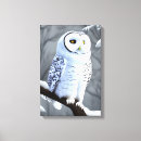 Recherche de hibou blanc art Chouette blanche