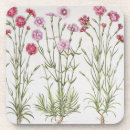 Recherche de oeillet dessous de verres Fleurs