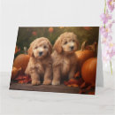 Zoek naar goldendoodle kaarten Dier