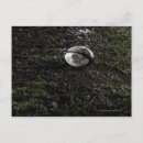 Recherche de poursuite cartes postales Horizontal