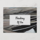 Recherche de oiseau abstrait cartes postales Moderne