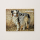 Recherche de chiens de berger australiens puzzles Chiot