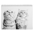 Recherche de de chat calendriers Chaton