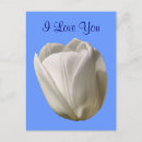 Recherche de tulipes blanches cartes postales Élégant