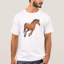 Recherche de cheval de baie Pur sang