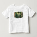 Recherche de bora tshirts Palmier