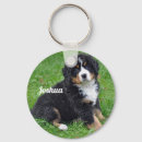 Zoek naar bernese mountain dog sleutelhangers Puppy