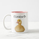 Recherche de canards sauvages tasses Faune
