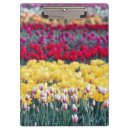 Recherche de jardin de tulipe Washington