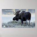 Recherche de doc s art Nature
