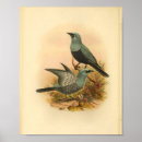 Recherche de coucou art Vintage