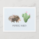 Recherche de porcs cartes postales Moderne