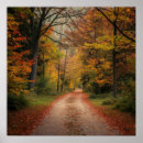 Zoek naar herfst bos posters Kleurrijk