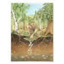 Recherche de écosystème posters Illustration