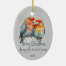 Zoek naar parrot ornamenten Schattig