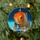 Recherche de aquarium ornements Poisson