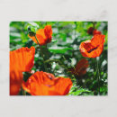 Recherche de stylisé cartes postales Orange