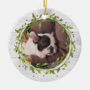 Recherche de peinture de chien ornements Pour animaux