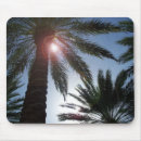 Zoek naar palm tree muismatten Boom