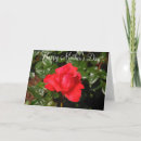 Recherche de rose rouge vœux cartes Roses