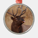 Zoek naar grappige rendieren ornamenten Schattig