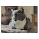 Recherche de chat gris planches à découper Animal