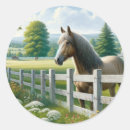 Recherche de équitation autocollants Occidental