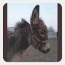 Recherche de ânes autocollants Animaux