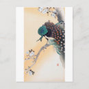 Recherche de ohara cartes postales Oiseau