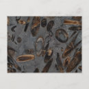 Zoek naar fossiel briefkaarten Jurassic