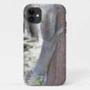 Recherche de écureuil gris iphone coques Rongeurs