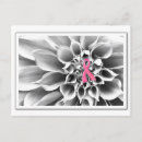 Recherche de espoir de cancer du sein cartes postales Rose
