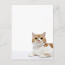 Recherche de pliage cartes postales Nature