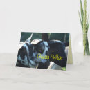 Zoek naar jonge geitjes Boerderij