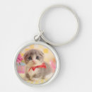 Recherche de comportement accessoires Chaton
