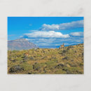Zoek naar patagonia briefkaarten Buiten