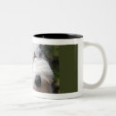 Recherche de pubs tasses Chien