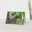 Recherche de lizzard vœux cartes Tropical