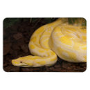 Recherche de la birmanie magnets Jaune