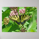 Recherche de timbre de nature posters Animal