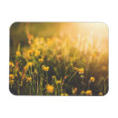 Recherche de bouquets de ressort magnets Nature