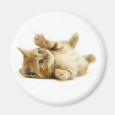 Recherche de peu de noël magnets Famille