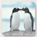 Recherche de pingouin dessous de verres Animal