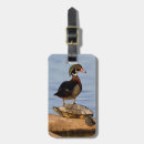 Recherche de cavité accessoires Avifaune