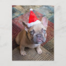 Recherche de french christmas cartes postales Chien