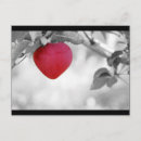 Recherche de forme de coeur cartes postales Fruit